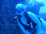 Hawaii Scuba divng 22