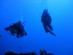 Hawaii Scuba divng 29