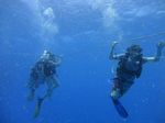 Hawaii Scuba divng 43