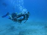 Hawaii Scuba divng 46