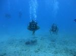 Hawaii Scuba divng 47