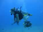 Hawaii Scuba divng 54