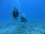 Hawaii Scuba divng 61