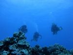 Hawaii Scuba divng 69