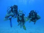 Hawaii Scuba divng 71