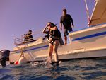 Hawaii Scuba divng 10