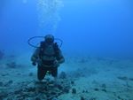 Hawaii Scuba divng 14