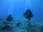 Hawaii Scuba divng 15