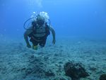 Hawaii Scuba divng 19