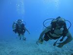 Hawaii Scuba divng 20