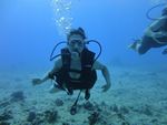 Hawaii Scuba divng 21