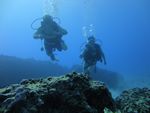 Hawaii Scuba divng 22