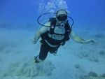 Hawaii Scuba divng 23