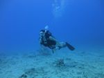 Hawaii Scuba divng 30