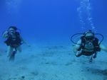 Hawaii Scuba divng 33