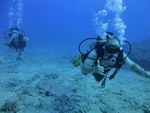 Hawaii Scuba divng 36