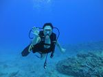 Hawaii Scuba divng 38