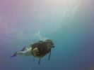 Hawaii Scuba divng 14