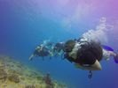 Hawaii Scuba divng 17
