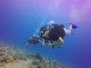 Hawaii Scuba divng 18