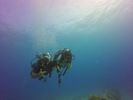 Hawaii Scuba divng 28