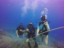 Hawaii Scuba divng 31