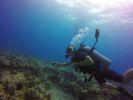 Hawaii Scuba divng 39