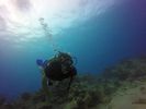 Hawaii Scuba divng 41