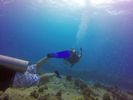 Hawaii Scuba divng 43