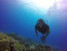 Hawaii Scuba divng 47