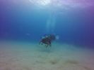 Hawaii Scuba divng 48