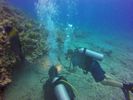 Hawaii Scuba divng 52