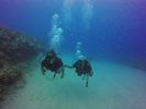 Hawaii Scuba divng 64