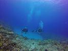 Hawaii Scuba divng 65