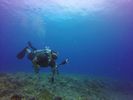 Hawaii Scuba divng 73