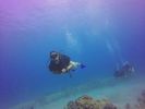 Hawaii Scuba divng 07