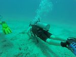 Hawaii Scuba divng 100