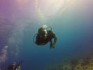 Hawaii Scuba divng 11