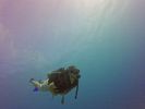 Hawaii Scuba divng 13