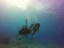 Hawaii Scuba divng 21