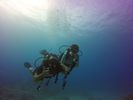 Hawaii Scuba divng 22