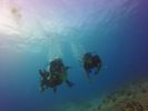 Hawaii Scuba divng 23