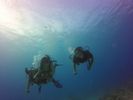 Hawaii Scuba divng 24