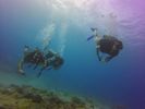 Hawaii Scuba divng 25