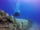 Hawaii Scuba divng 26