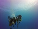 Hawaii Scuba divng 29