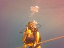 Hawaii Scuba divng 02