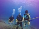 Hawaii Scuba divng 30