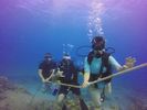 Hawaii Scuba divng 32