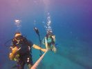 Hawaii Scuba divng 33